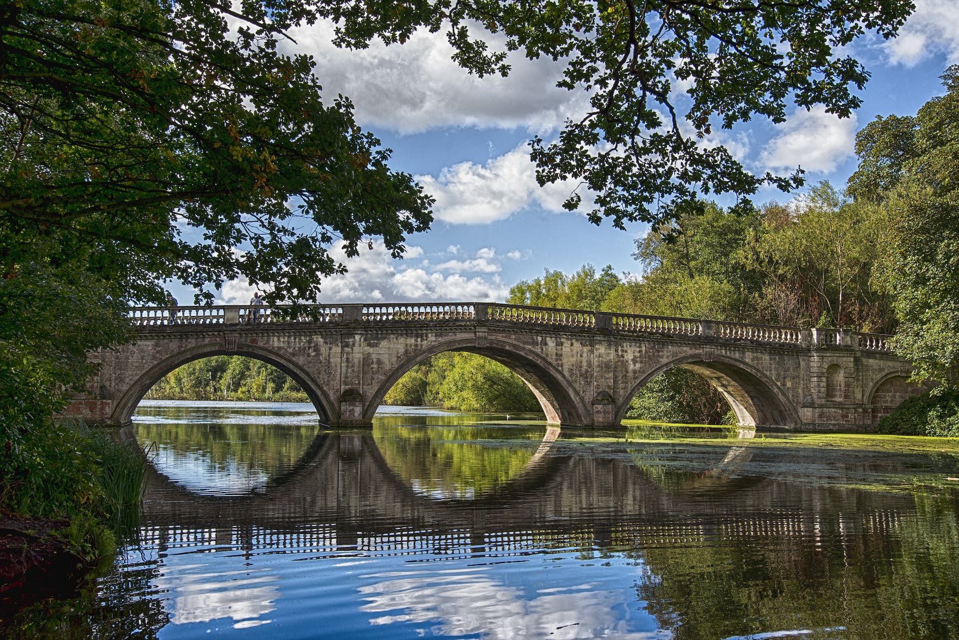 bridge over a lake during day time