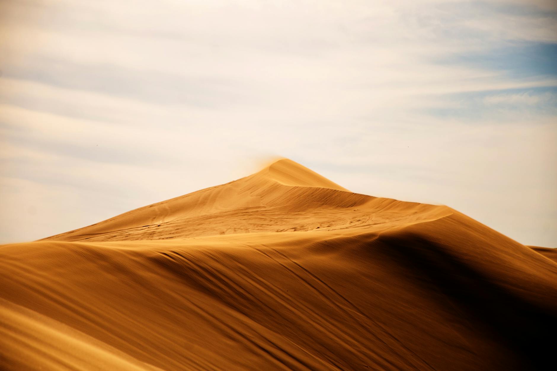 landscape photography of brown field